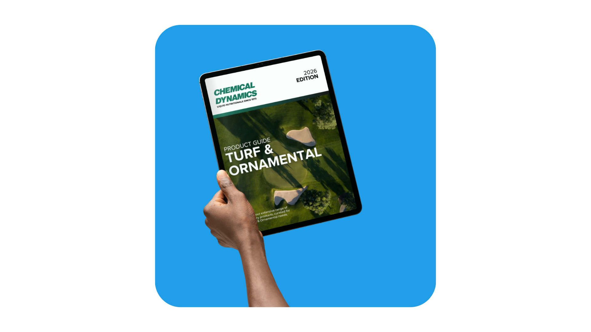 Untitled design (10)