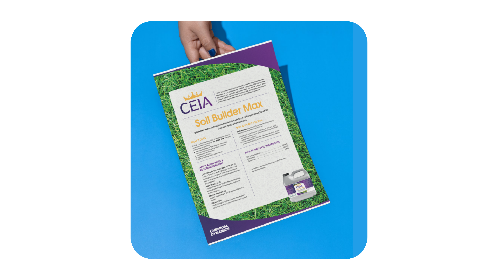 Untitled design (11)